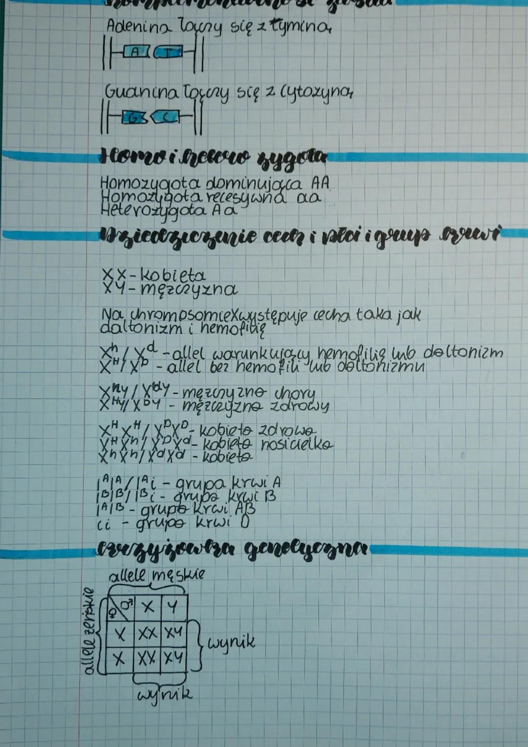 3.11.22
biologias
Pojęcia
genetyka - nauka zajmująca się
dziedziczeniem cech i zmiennością
organizmow
genetyra
GMO- genetyczna modyfikacja
i