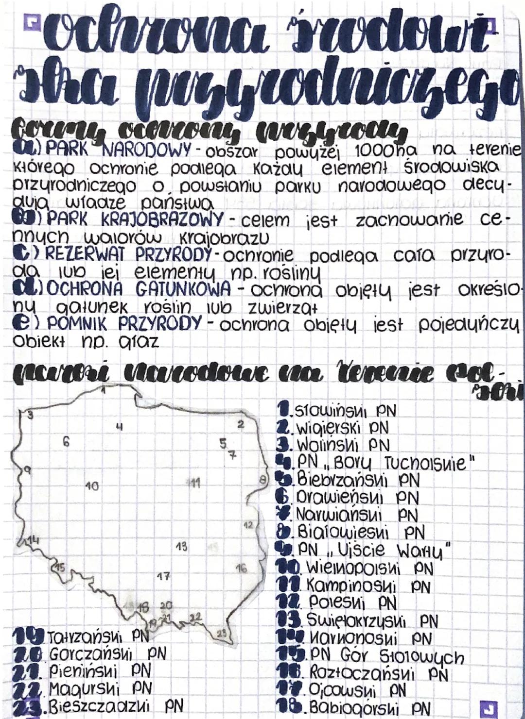 Jak dbać o ochronę środowiska przyrodniczego