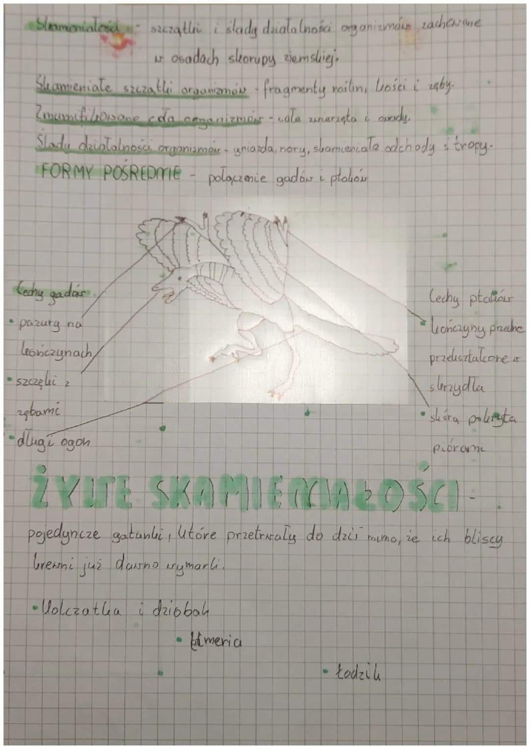 BIOLOGIA
EVOLUCSA - proces stopnicaurych smian budary
ciała, sposobu życia, upodobań pokarmowych lub innych cech
gatunkorych, prowadzący do 