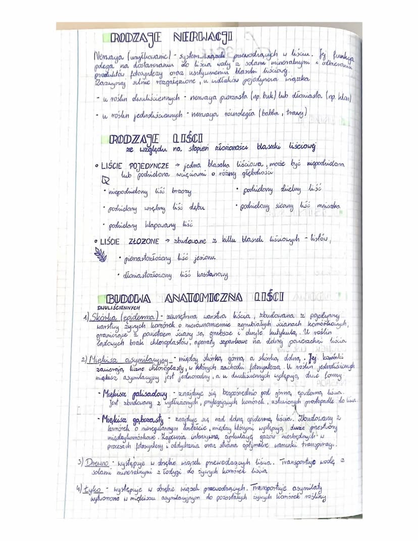 Korzeń
Blobnie jak Todyga
FUNKCJE
liście należy do organów wegetatywnych roślin,
organy generatywne
pobieranie wody
utrzymywanie rośliny
l
z