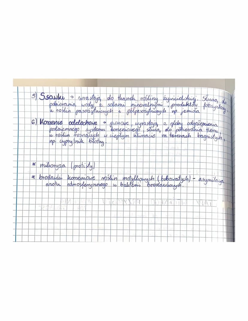 Korzeń
Blobnie jak Todyga
FUNKCJE
liście należy do organów wegetatywnych roślin,
organy generatywne
pobieranie wody
utrzymywanie rośliny
l
z