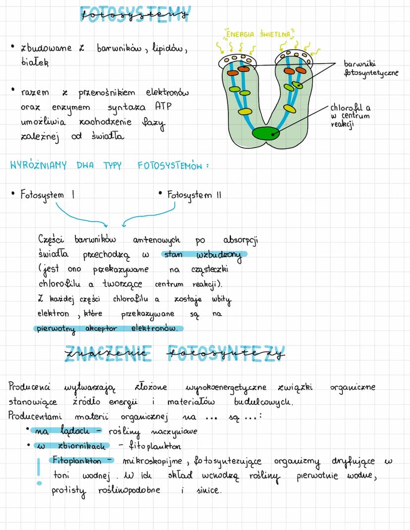 Fotosynteza składa się z
Jasnej (xalexnej od światła) wytworzenie siły asymilacyjnej (ATP, NADPH) potrzebnej
do redukcji CO₂
●
fotosyntera
C