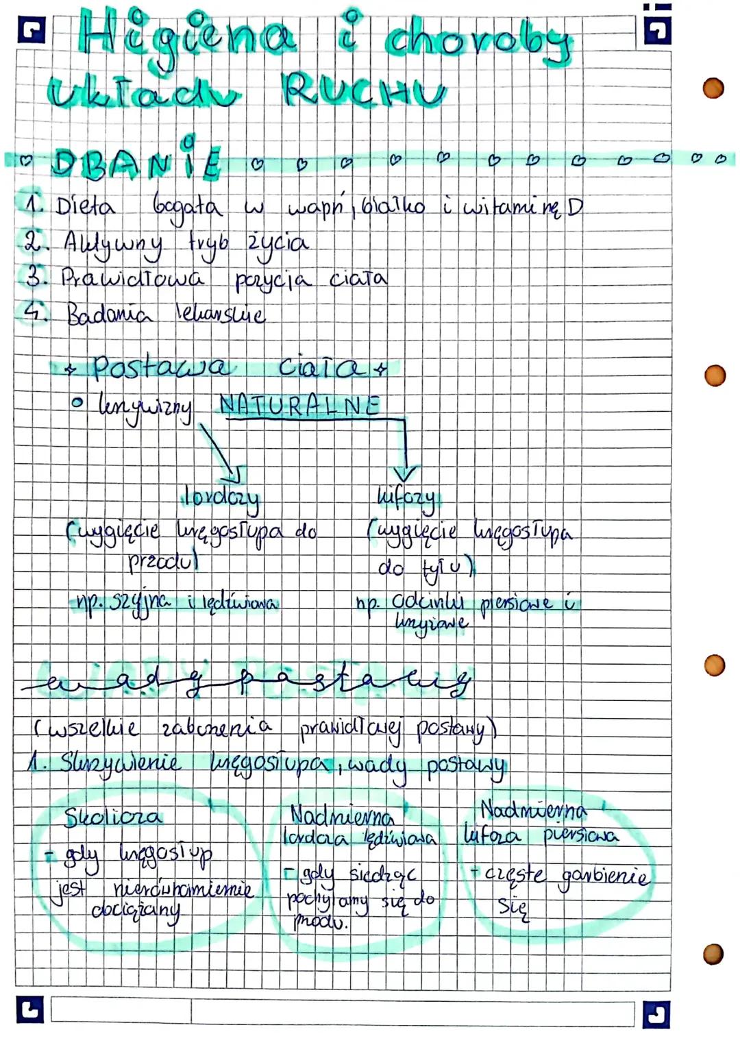 Higiena i Choroby Układu Ruchu - Biologia Klasa 7