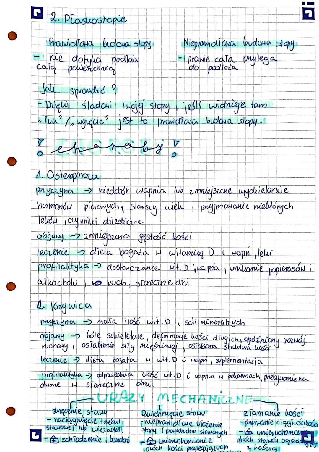 • Higiena i choroby 5
układu RUCHU
DBANIE
1. Dieta bogata
2. Allywny tryb życia
3. Prawidłowa pozycja ciała
4. Badania lehianslue
♡
G
2
S
& 