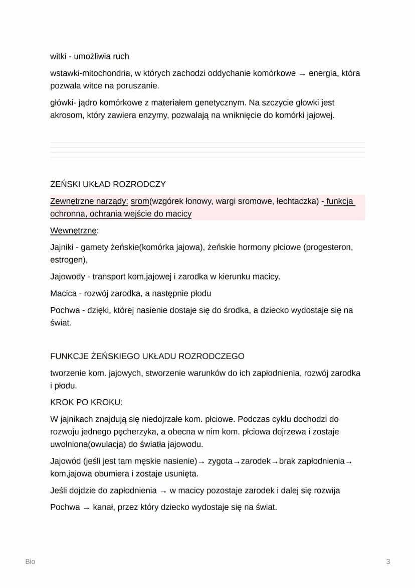 Bio
Bio
Budowa i funkcje męskich narządów rozrodczych
Cechy płciowe - cechy ciała dzięki, którym płcie różnią się od siebie.
Pierwszorzędowe