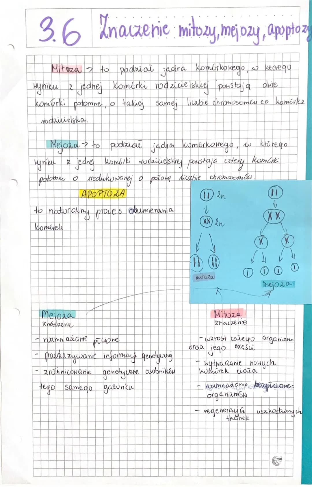 3.6 Znaczenie mitozy, mejozy, apoptoz
Mitoza to podział jadra komórkowego, w ktorego
>
wyniku z jednej komórki rodzicielskiej ponstają duire