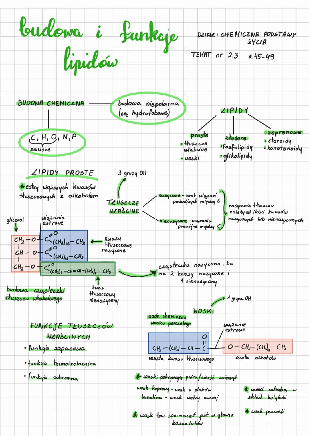 budowa i funkaje
lipidów
BUDOWA CHEMICZNA
C, H, O, N,P
ZIPIDY PROSTE
#estry wyższych kwasów
tłuszczowych z alkoholem
zawsze
glicerol wiązani