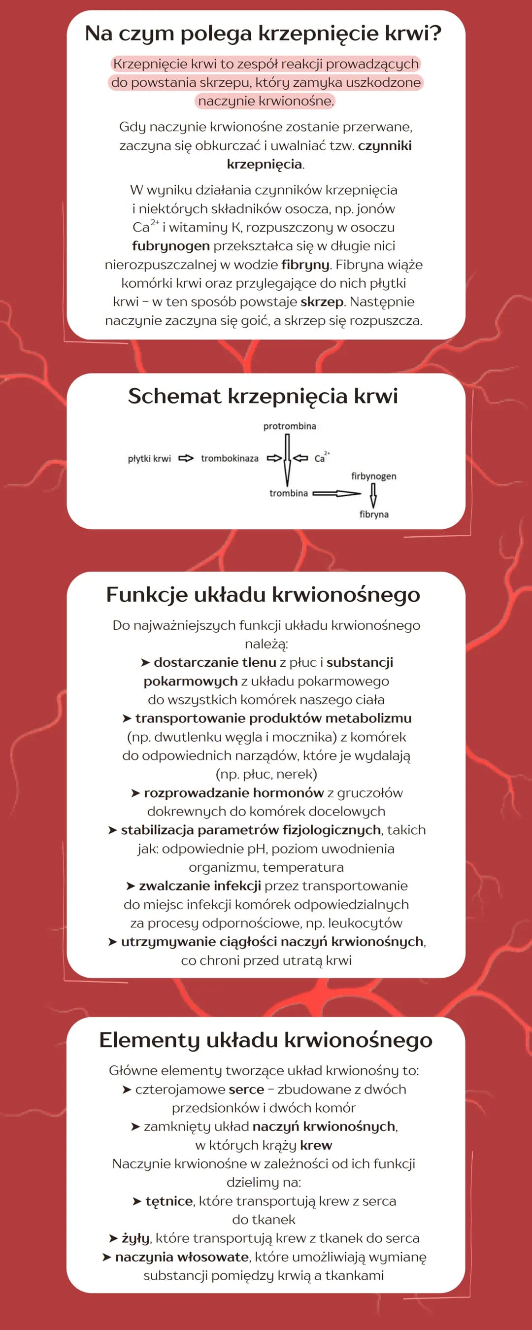 
<h2 id="skadnikikrwiiichfunkcje">Składniki krwi i ich funkcje</h2>
<p>Jako typowa tkanka łączna, krew składa się ze składników komórkowych 