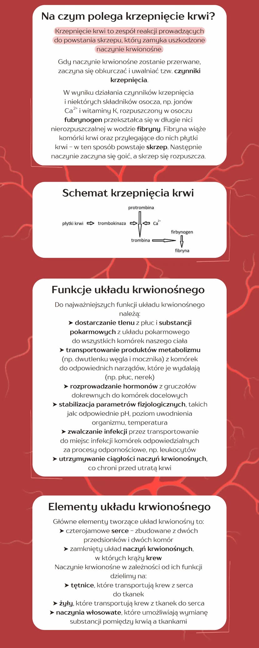 
<h2 id="skadnikikrwiiichfunkcje">Składniki krwi i ich funkcje</h2>
<p>Jako typowa tkanka łączna, krew składa się ze składników komórkowych 