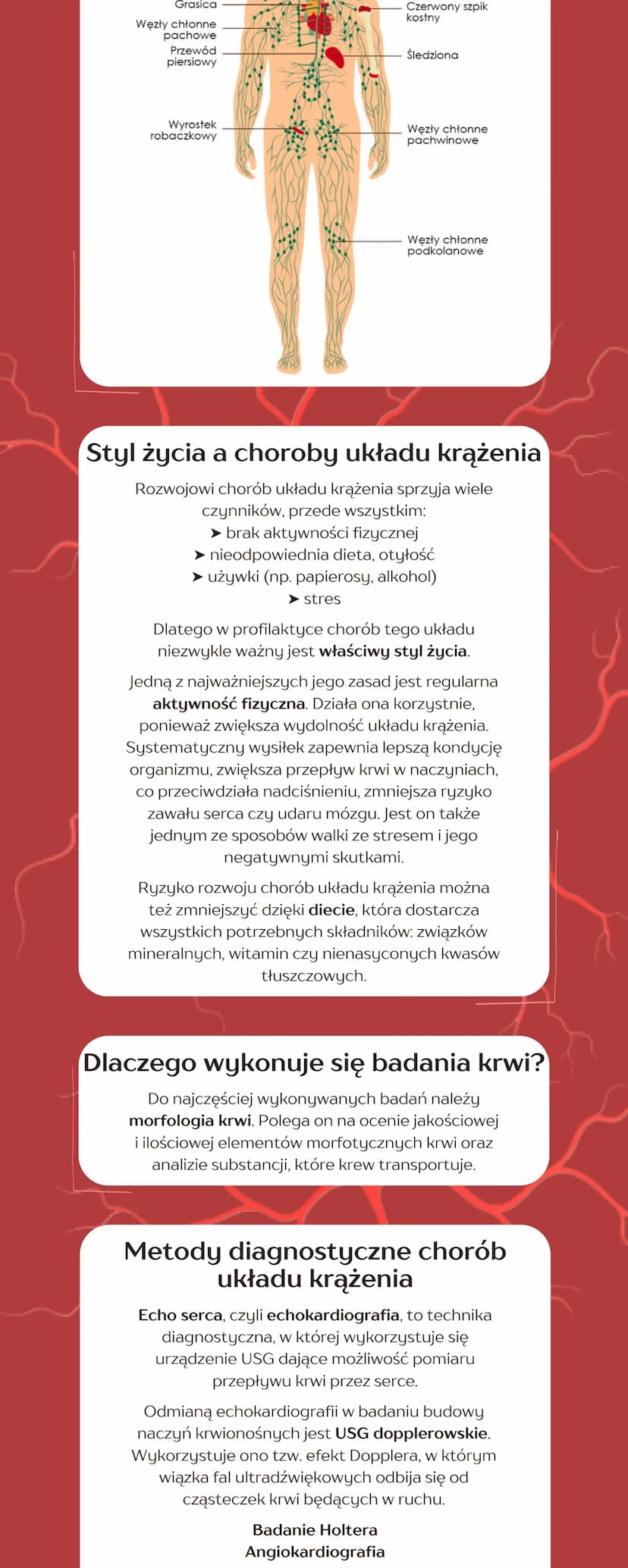 
<h2 id="skadnikikrwiiichfunkcje">Składniki krwi i ich funkcje</h2>
<p>Jako typowa tkanka łączna, krew składa się ze składników komórkowych 