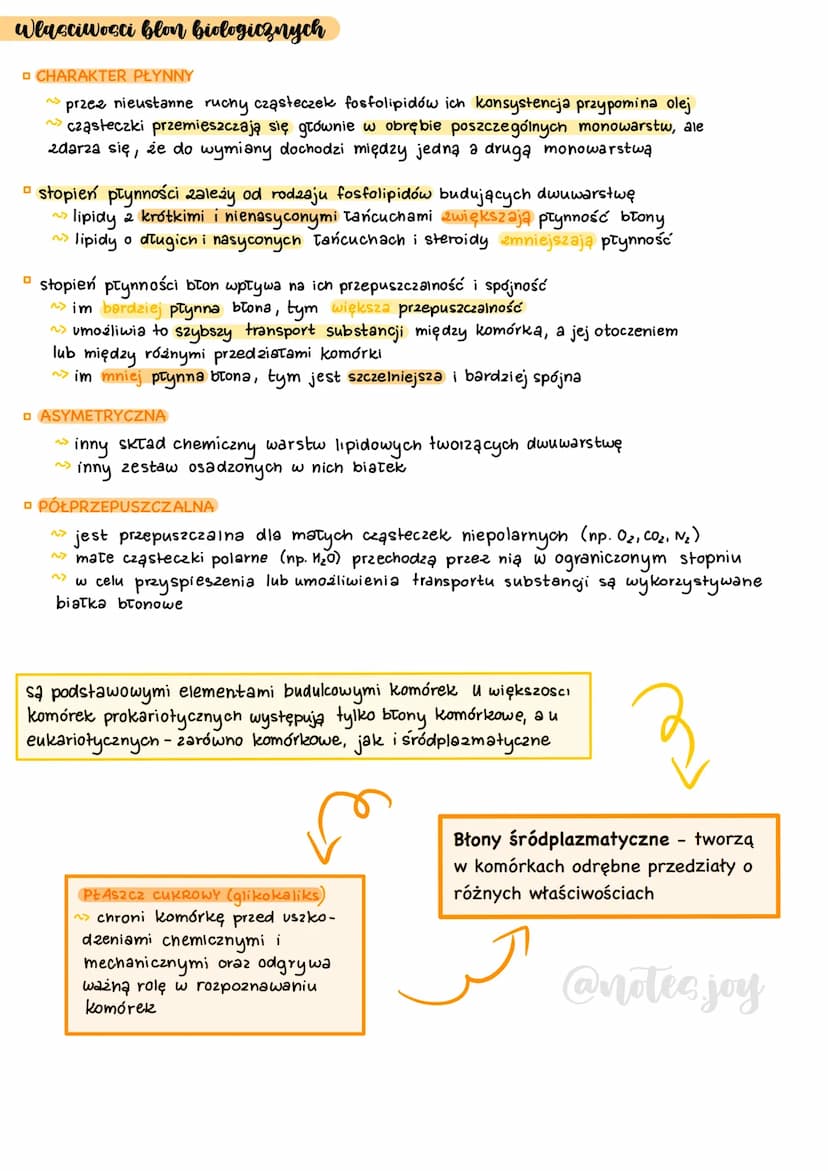 Zaznacz Wszystkie Funkcje Spośród Podanych Które Pełnią Błony Biologiczne Błony Biologiczne: Budowa i Funkcje (Biologia) - Knowunity