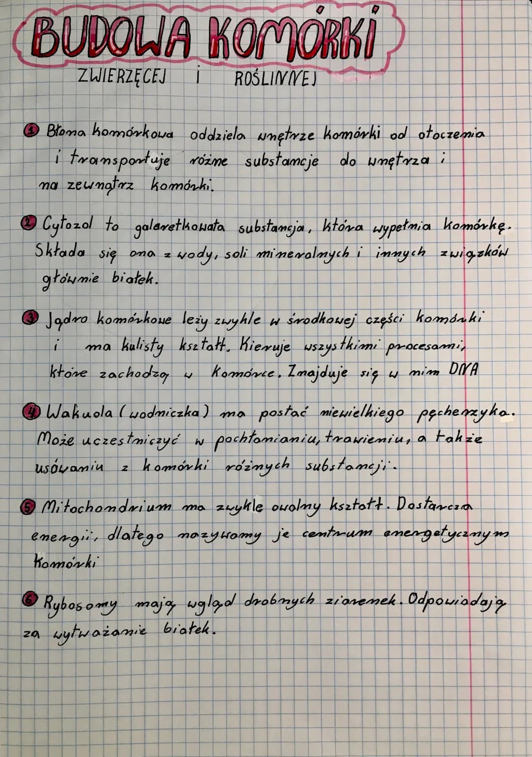 BUDOWA KOMORKI
ZWIERZĘCEJ I ROŚLINNEJ
ⒸBłona homórkowa oddziela wnętrze komórki od otoczenia
i transportuje różne substancje do wnętrza i
na