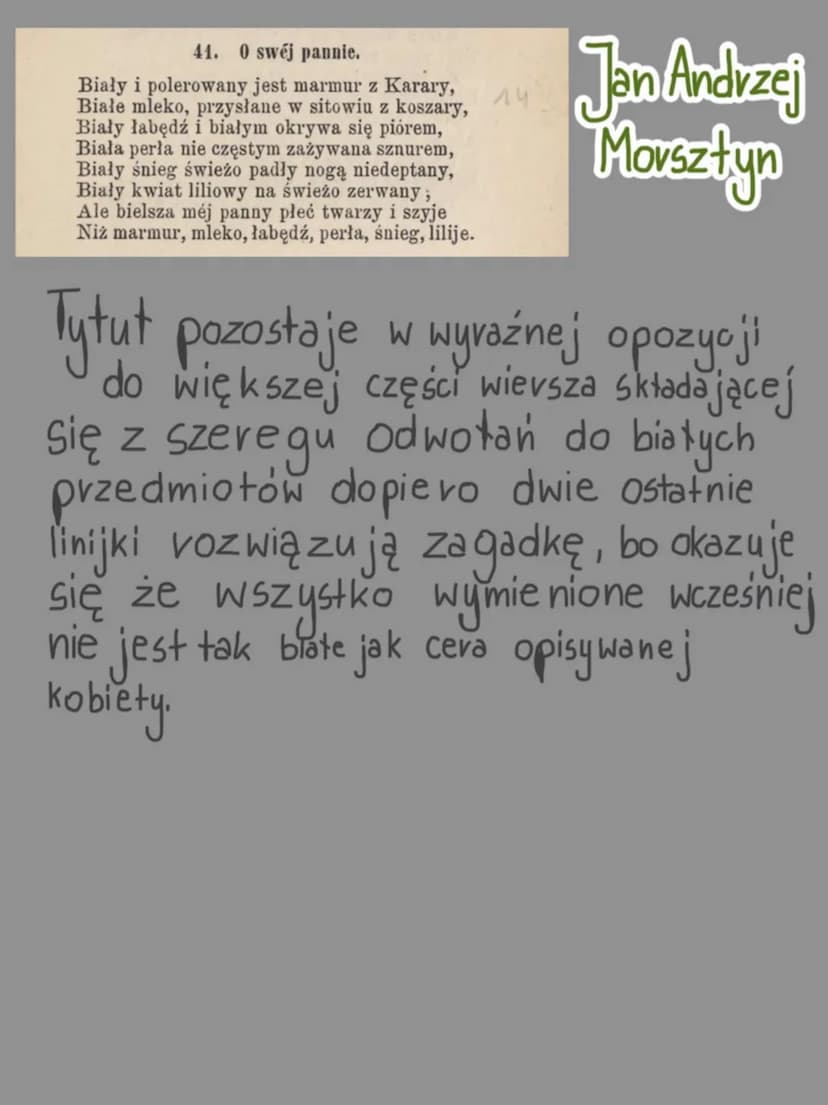 Barokowa poezja konceptowa
koncept pomyst no to by zaskoczyć widza
Giuseppe Arcimboldo
artysta konceptysta
kompozycja
tańcuchowa
maksymalizm
