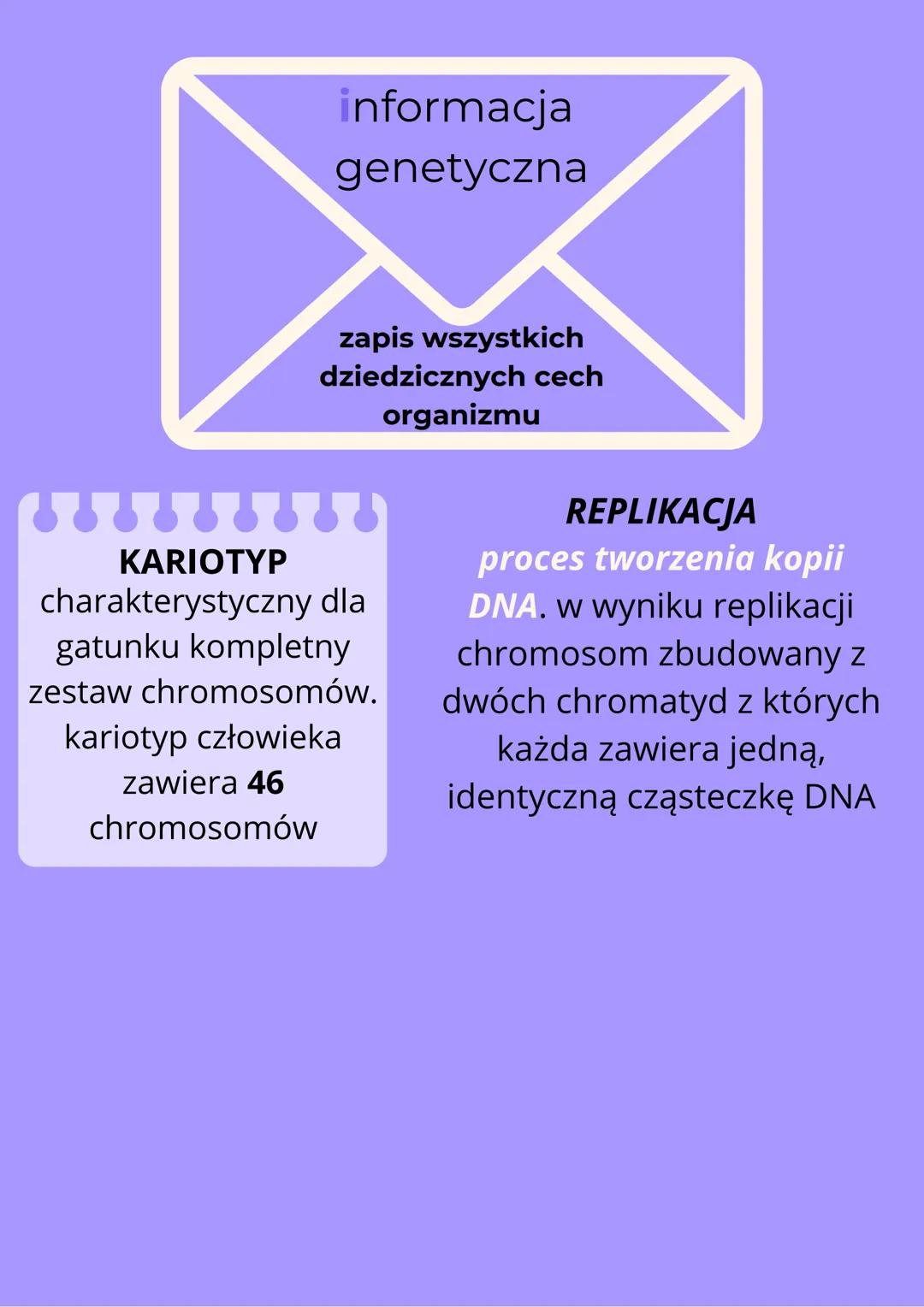 CZYM JEST
GENETYKA?
Genetyka - nauka zajmująca się dziedziczeniem cech
oraz zmiennością organizmów
Cechy niedziedziczne
cechy te nabywane są
