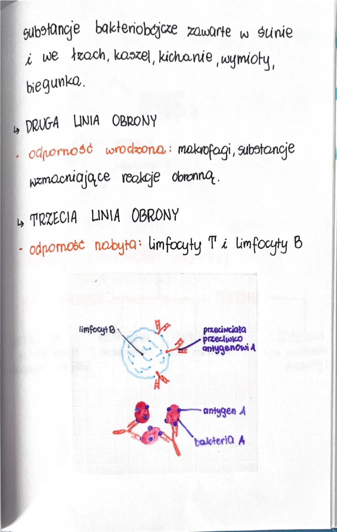 --- OCR Start ---
uklead
08.01.24
Selpornościowy
Budowa i funkcjonowanie układu
odpornościowego
Odporność to zdolność Organizmu do
obrony pr