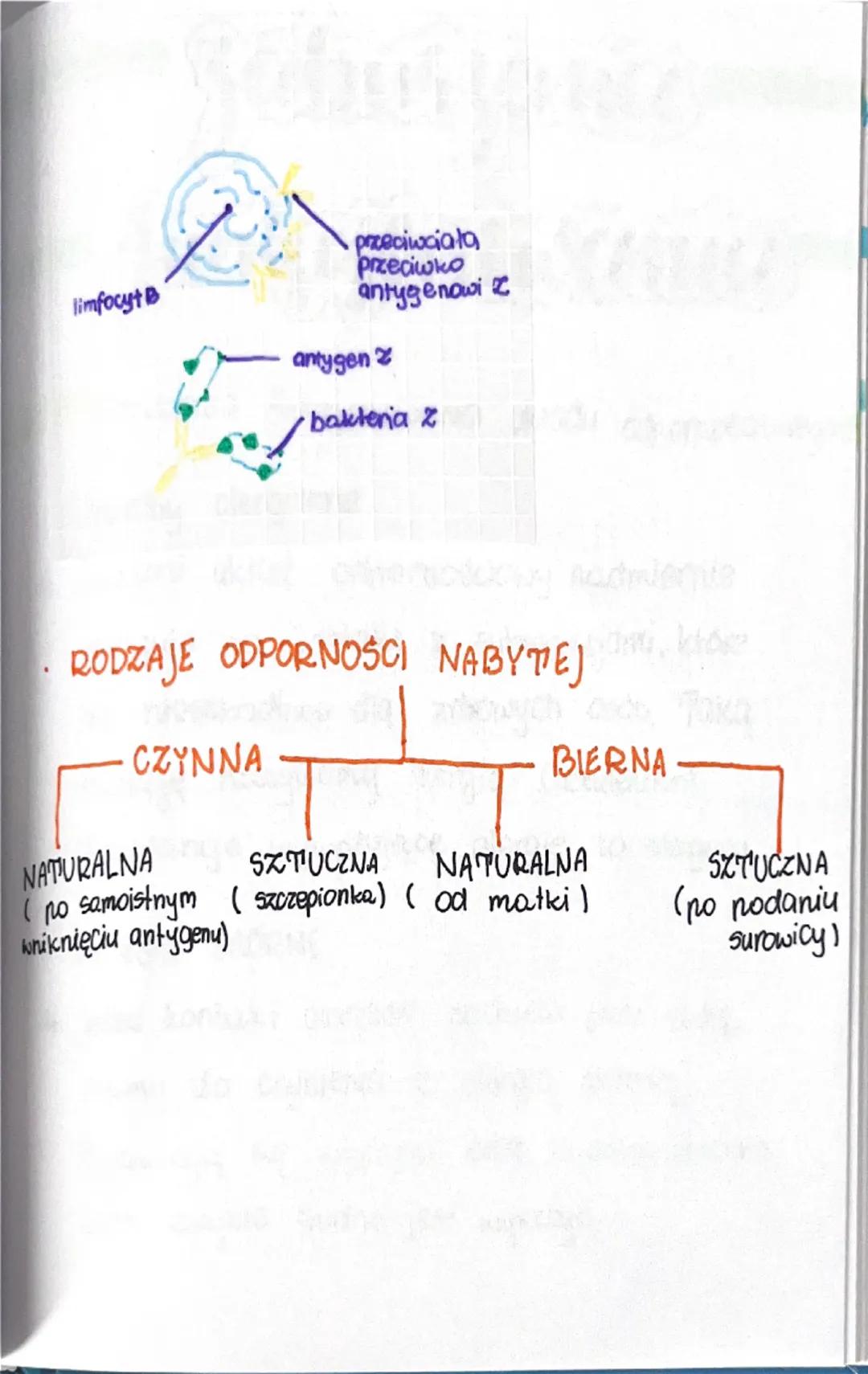 --- OCR Start ---
uklead
08.01.24
Selpornościowy
Budowa i funkcjonowanie układu
odpornościowego
Odporność to zdolność Organizmu do
obrony pr