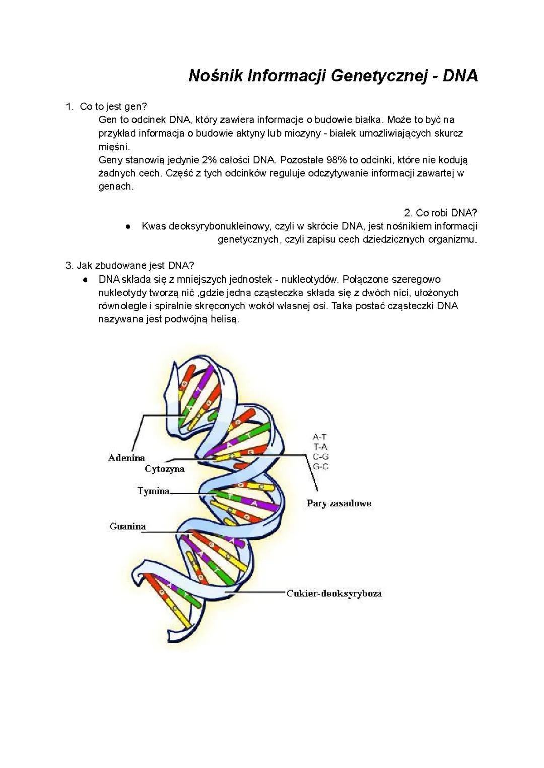 Dna - Nośnik Informacji Genetycznej