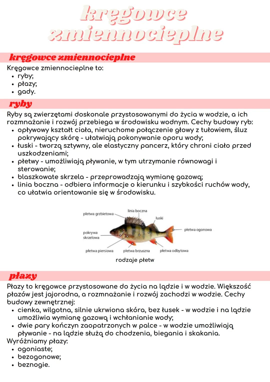 kręgowce zmiennocieplne
Kręgowce zmiennocieplne to:
ryby;
płazy;
gady.
●
●
ryby
Ryby są zwierzętami doskonale przystosowanymi do życia w wod