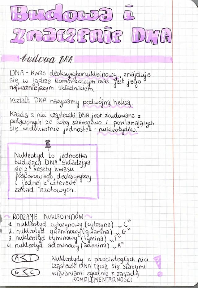 Know Budowa i znaczenie DNA thumbnail