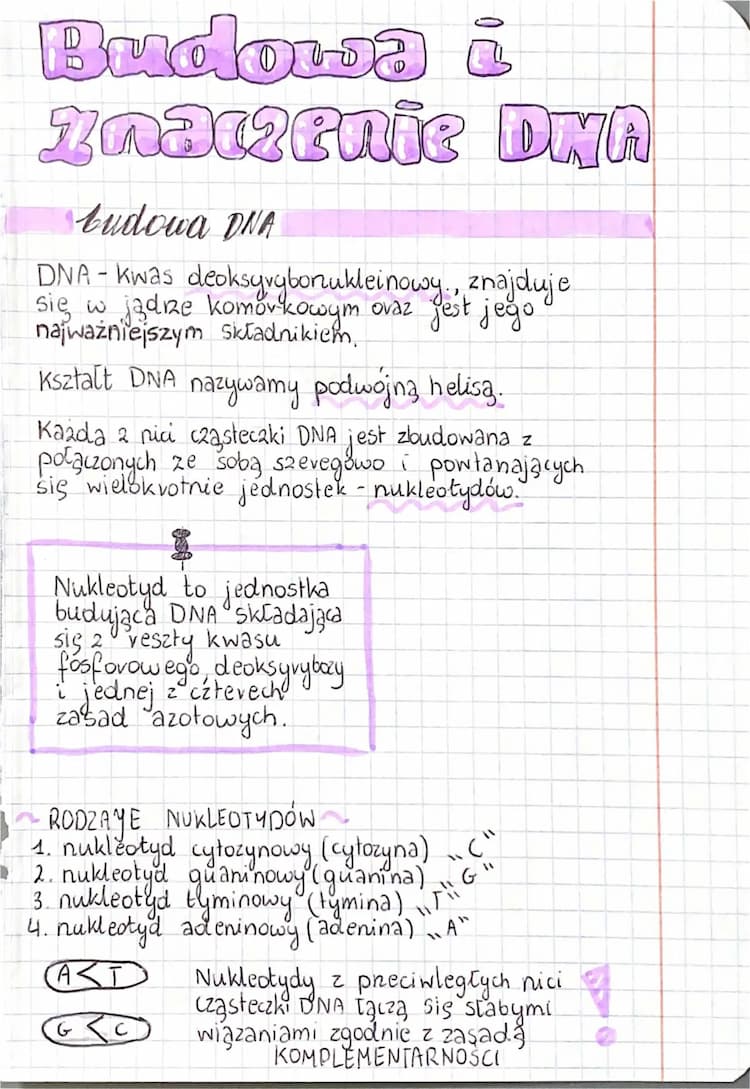 Know Budowa i znaczenie DNA thumbnail