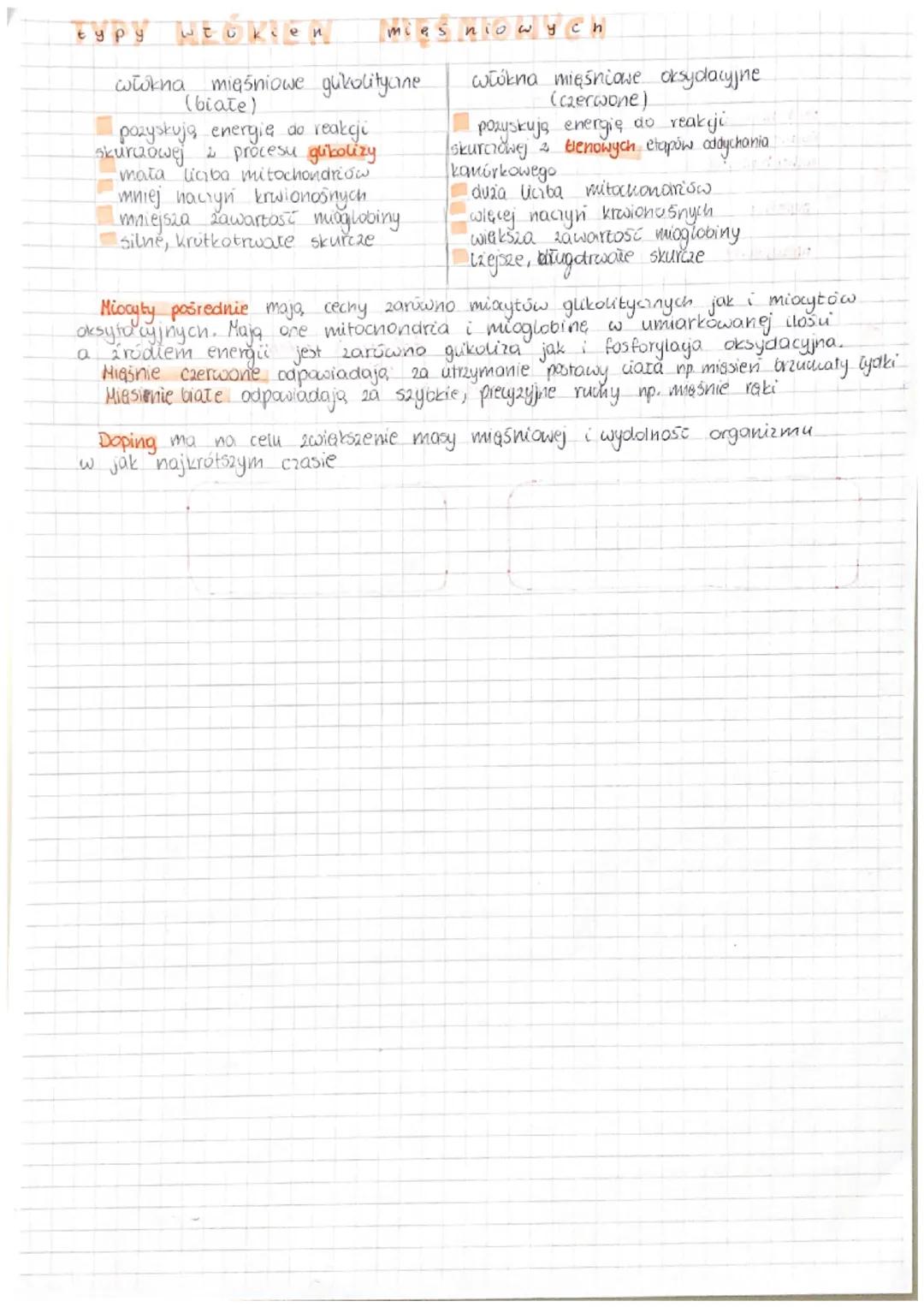 WKLAD RUCHU
bierny
układ szkieletowy
Uklad ruchu
BIERNY UKEAD RUCHU
Bierny uniad ruchu 2budowany jest 2 tkanki kostnej tkanki chrzestnej. Tk