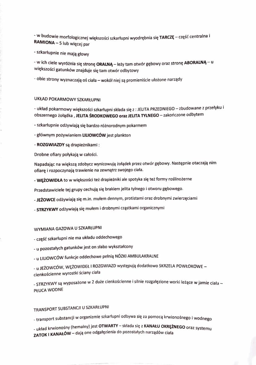 SZKARŁUPNIE - BEZKRĘGOWE ZWIERZĘTA WTÓROUSTE
- zwierzęta wyłącznie morskie
- zasiedlają zarówno wody przybrzeżne jak i głębinowe
- większość