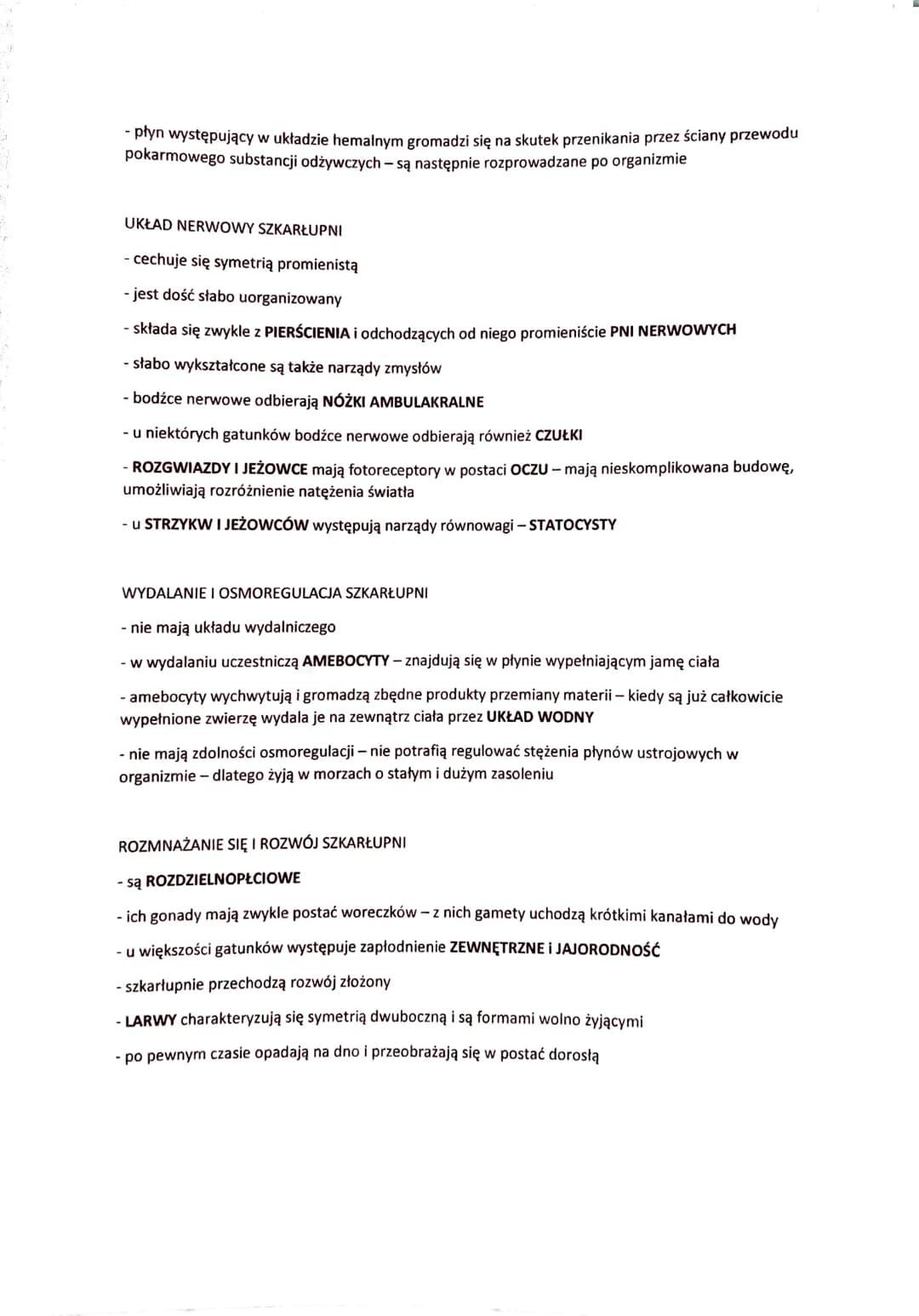 SZKARŁUPNIE - BEZKRĘGOWE ZWIERZĘTA WTÓROUSTE
- zwierzęta wyłącznie morskie
- zasiedlają zarówno wody przybrzeżne jak i głębinowe
- większość