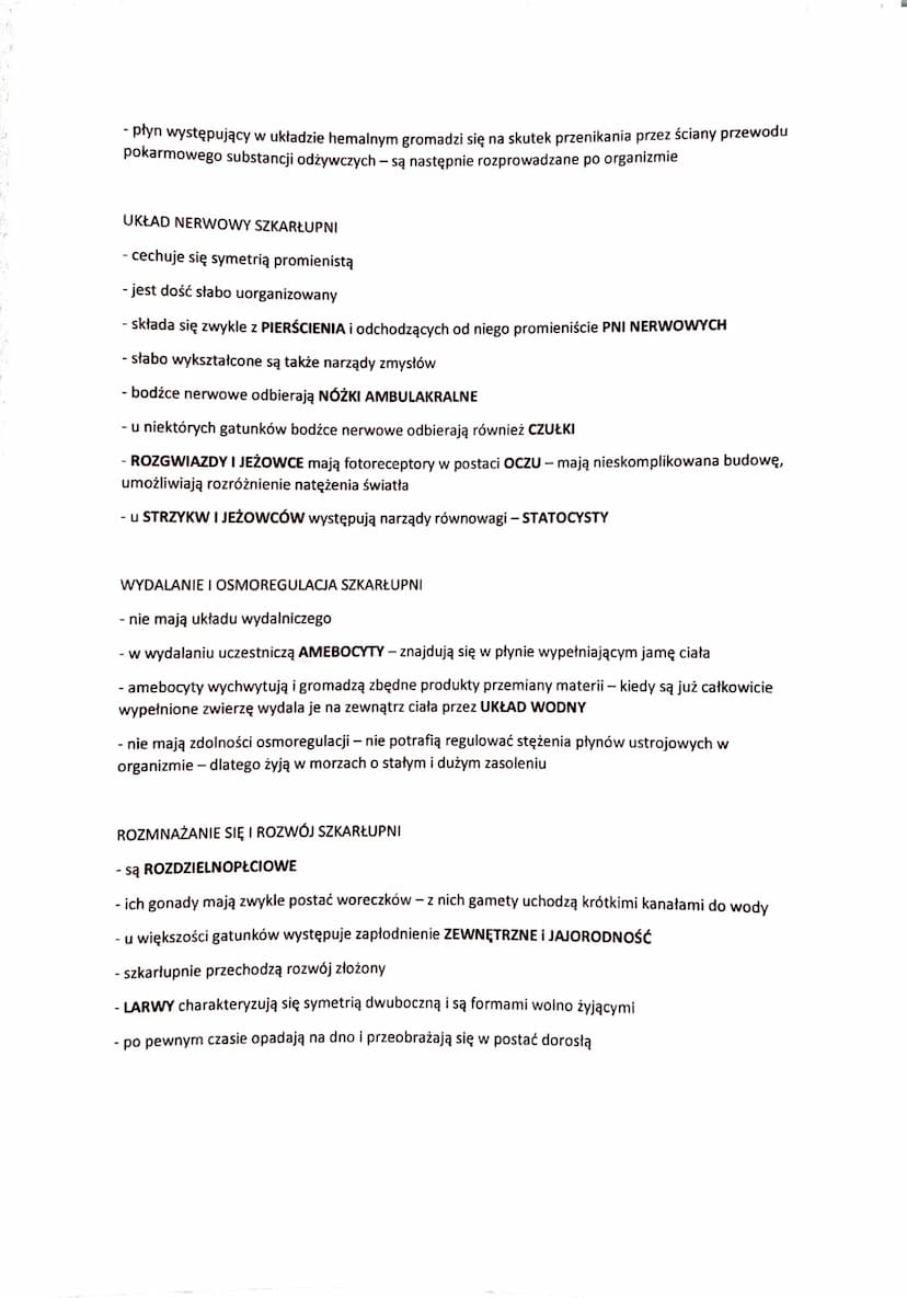 SZKARŁUPNIE - BEZKRĘGOWE ZWIERZĘTA WTÓROUSTE
- zwierzęta wyłącznie morskie
- zasiedlają zarówno wody przybrzeżne jak i głębinowe
- większość