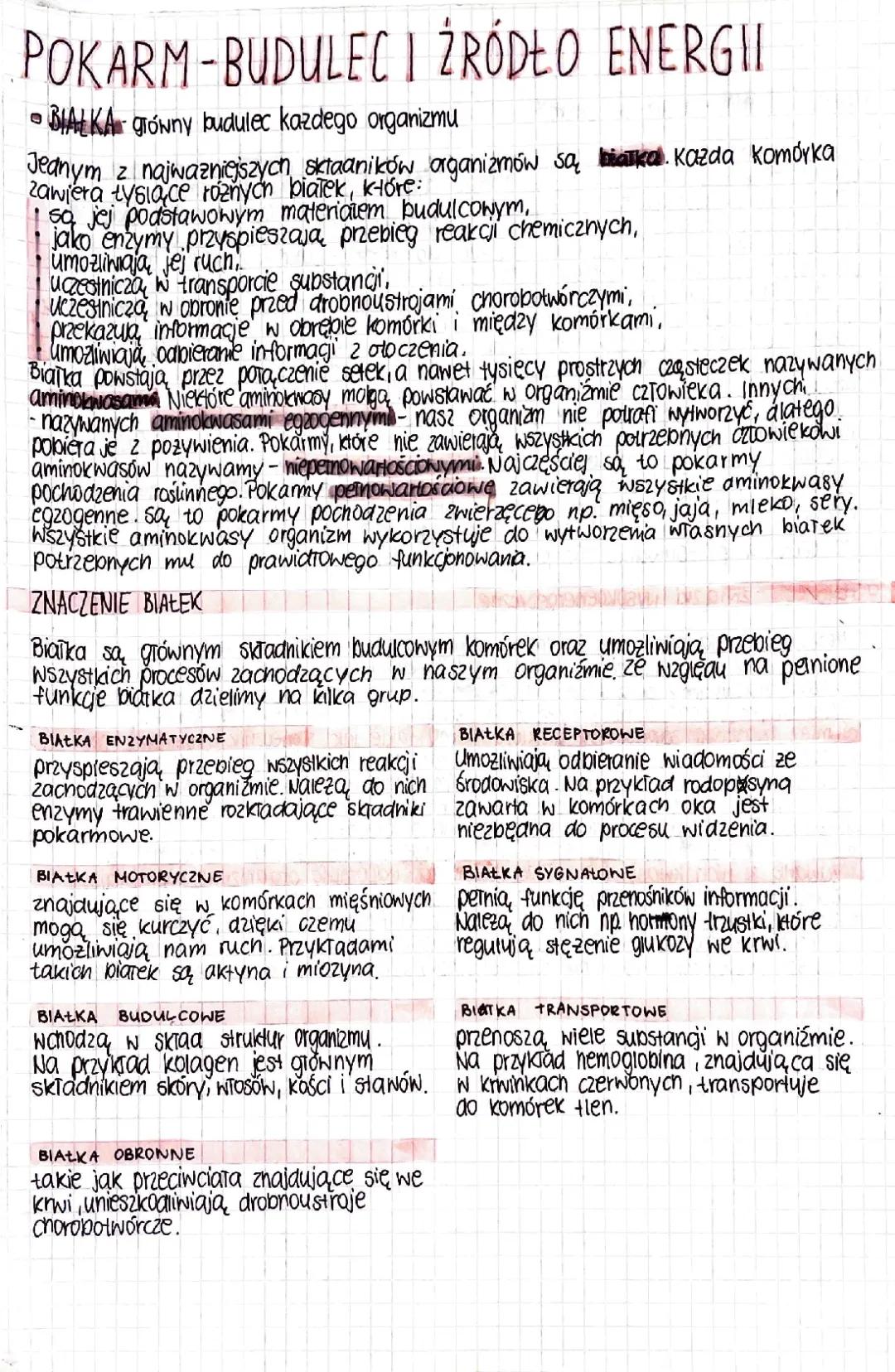 Pokarm - Podstawa Energii i Budowy Ciała