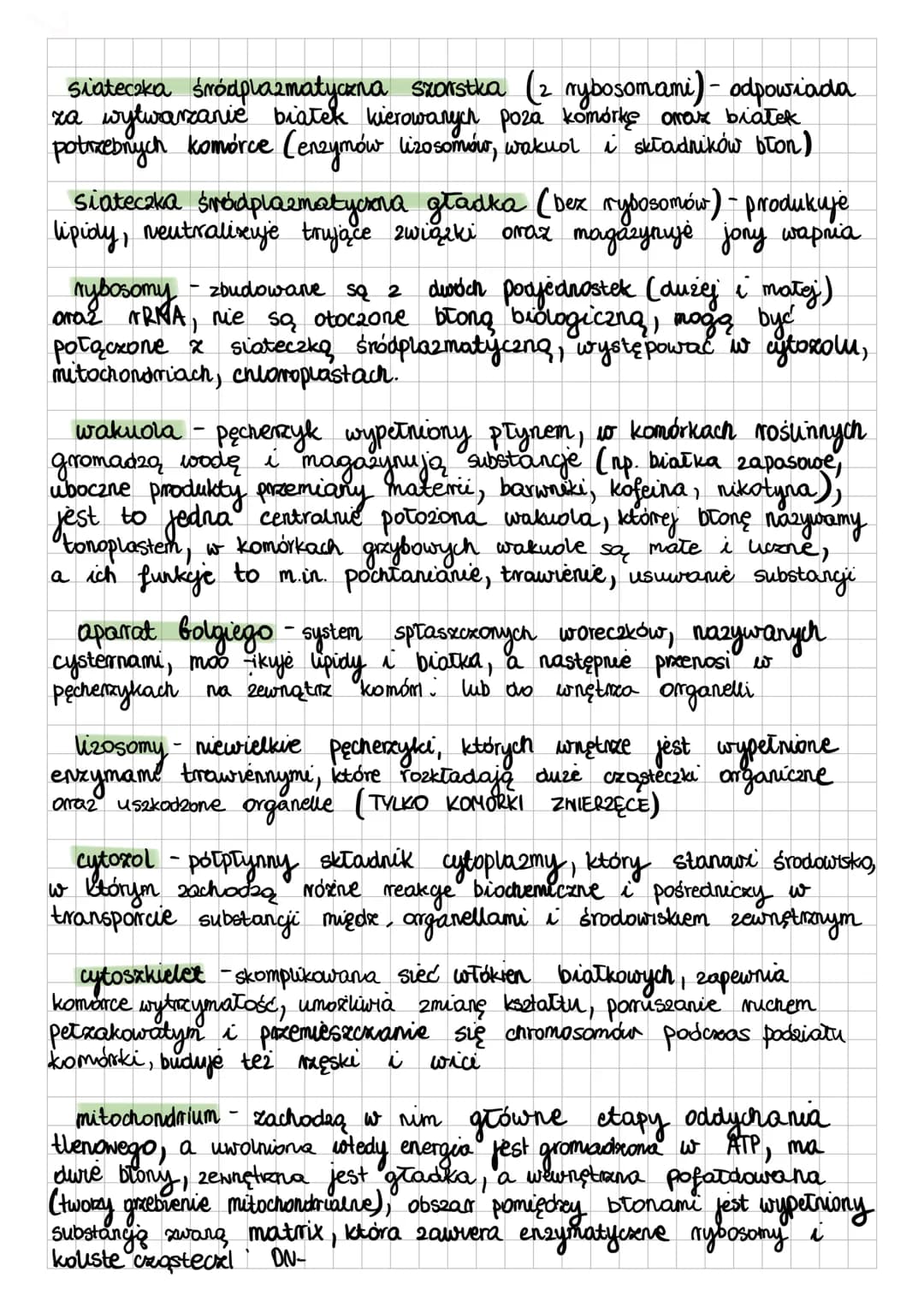 siateczka śródplazmatyczna szorstka (2 rybosomami) - odpowiada
za wytwarzanie biatek kierowanych poza komórkę arraz białek
potrzebnych komór