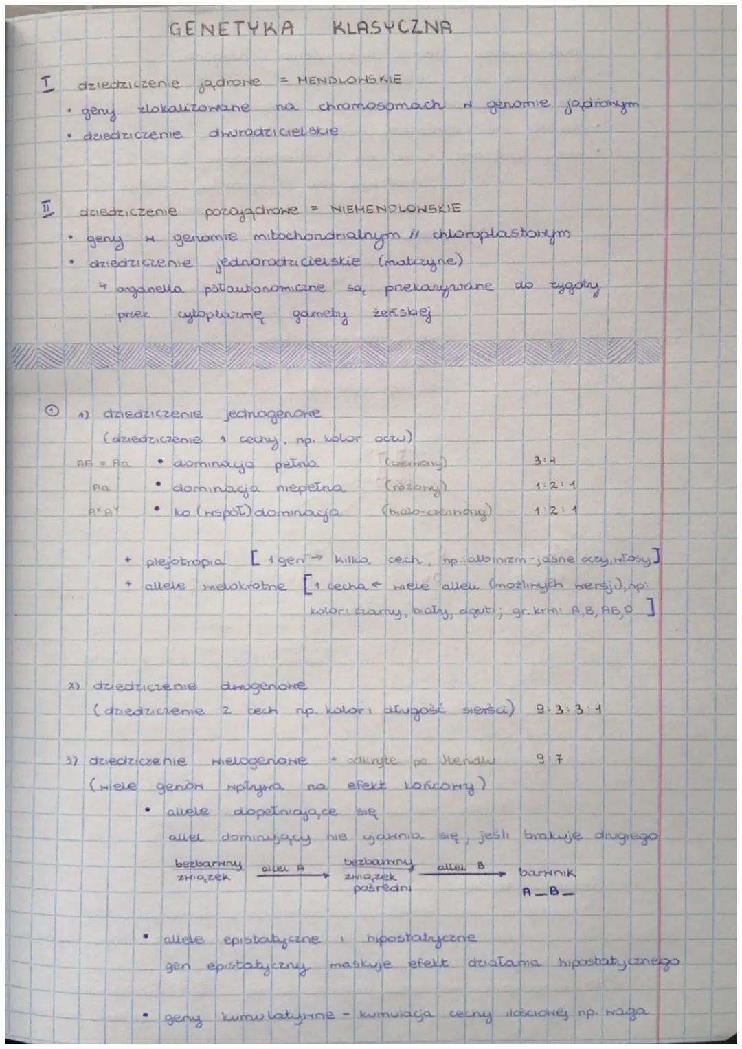 # GENETYKA KLASTYCZNA

I dziedziczenie ja drone = HENDLONSKIE

*   geny zlokalizowane na chromosomach w genomie jadronym
*   dziedziczenie. 