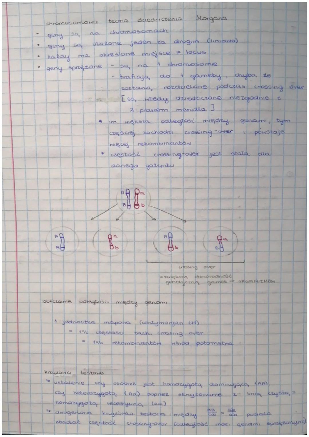 # GENETYKA KLASTYCZNA

I dziedziczenie ja drone = HENDLONSKIE

*   geny zlokalizowane na chromosomach w genomie jadronym
*   dziedziczenie. 