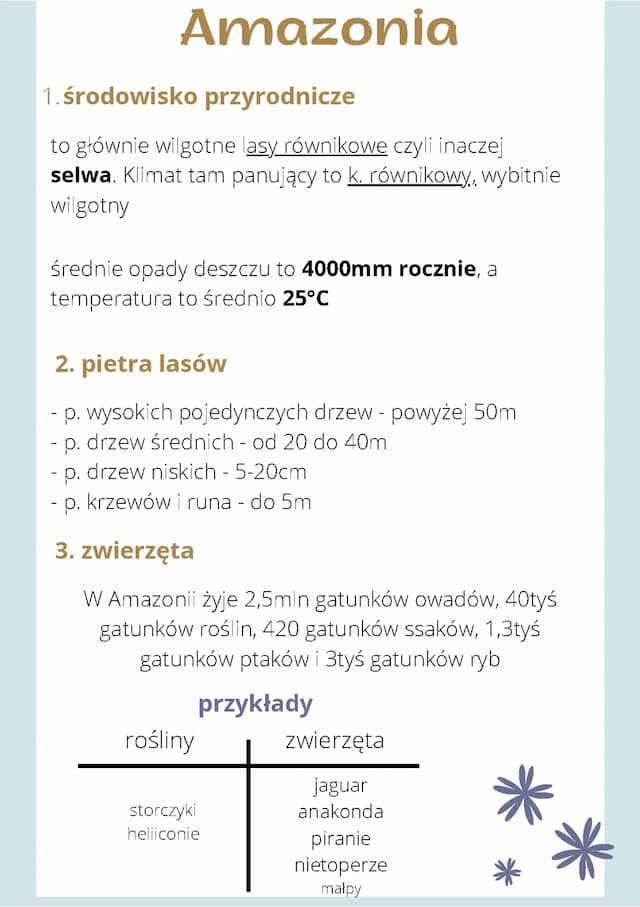 Know charakterystyka Amazonii - środowisko przyrodnicze, piętra lasów oraz fauna i flora thumbnail