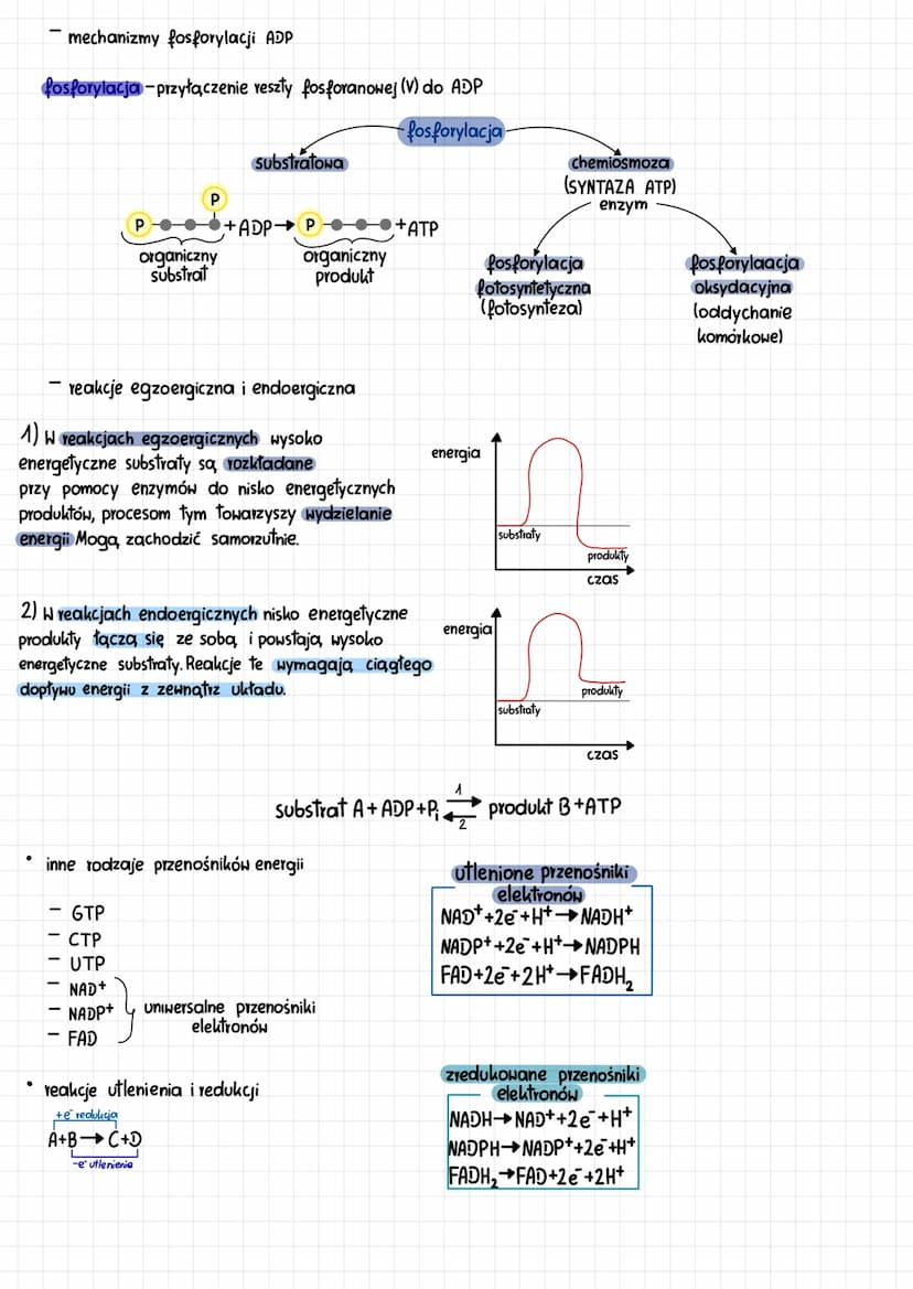 podstawowe zasady metabolizmu
energia uwalniana
W przemianach
katabolicznych
ATP-adenozynotrifosforan
- cykl ATP-ADP
katabolizm
reakcje rozk