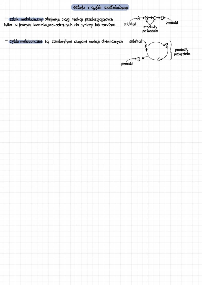 podstawowe zasady metabolizmu
energia uwalniana
W przemianach
katabolicznych
ATP-adenozynotrifosforan
- cykl ATP-ADP
katabolizm
reakcje rozk