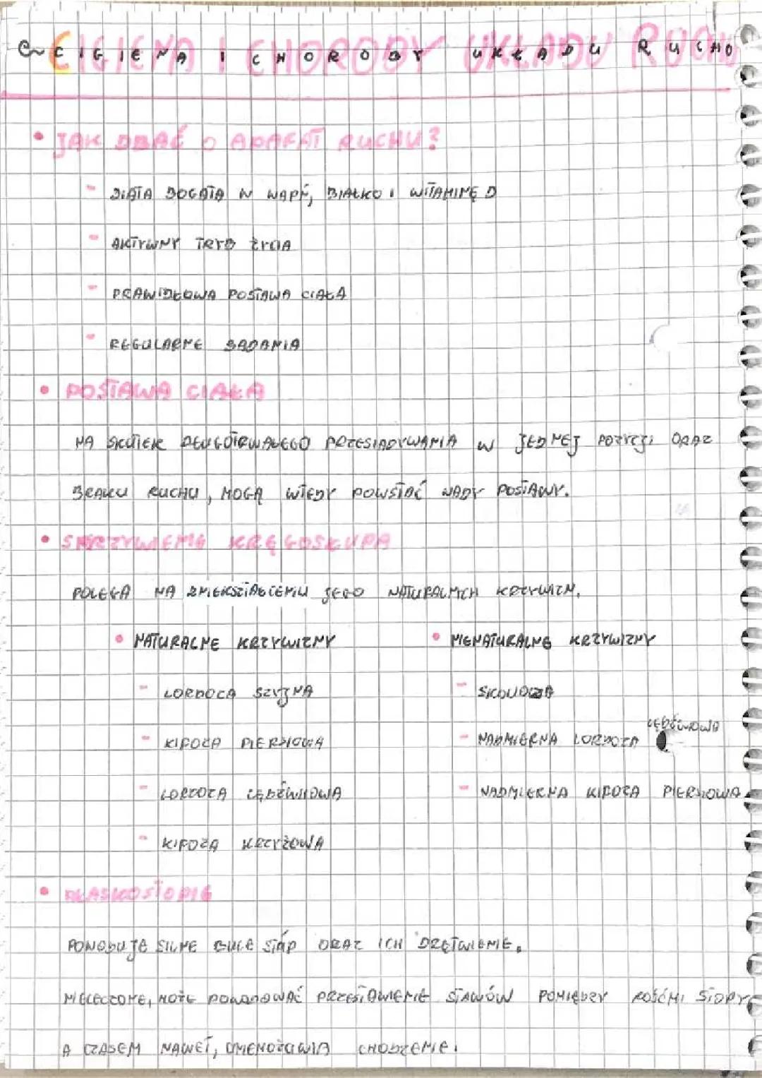 Higiena i choroby układu ruchu - kluczowe informacje