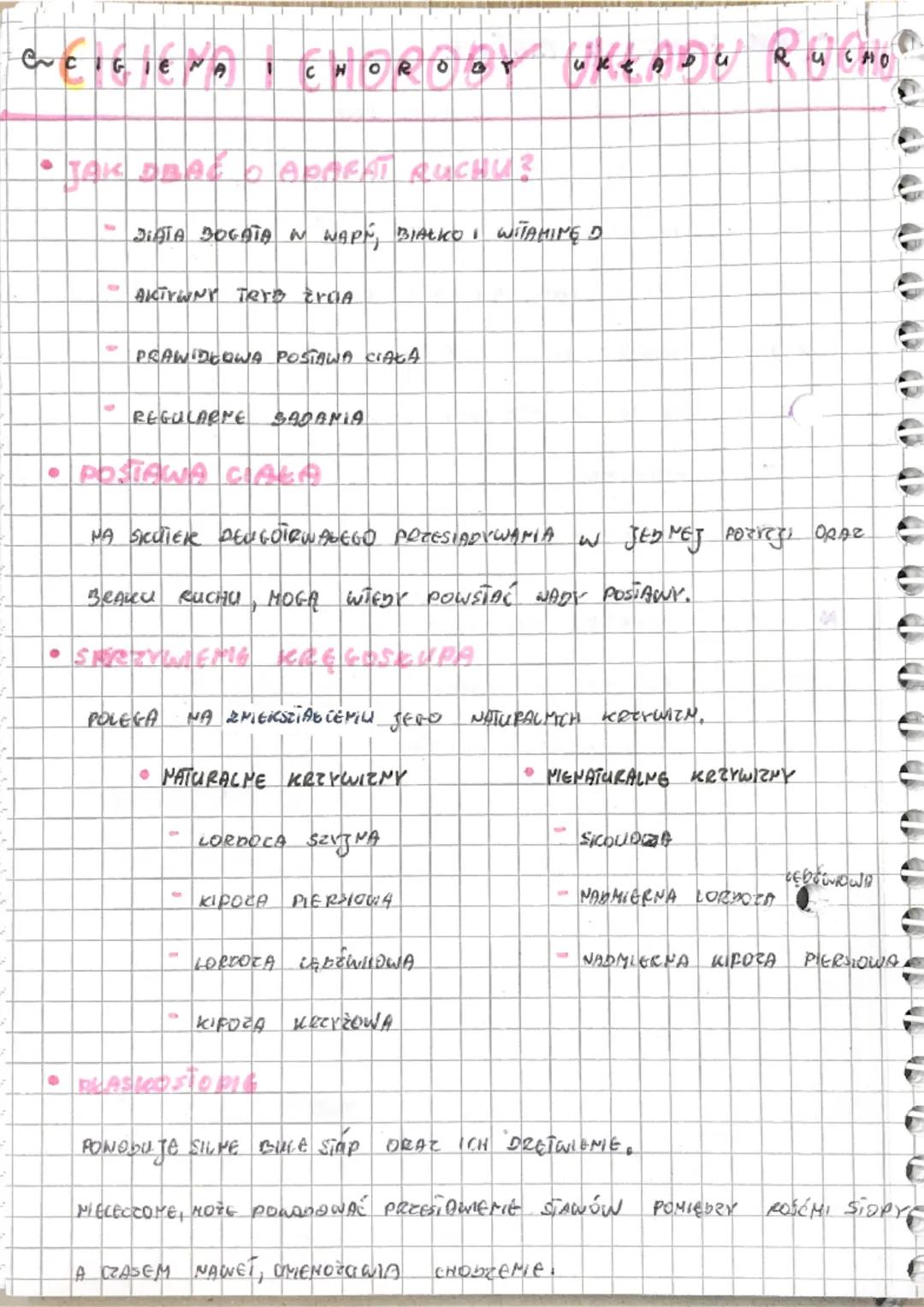 1
e
7
-
+
WEIGIENA I CHOROOF UKENDU RUCHO
UKŁADU
A
●
JISTA DOGATA W WAPY, BIAŁKO I WITAMING D
AKTYWNY TRre troA
PRAWIDCOWA POSTAWA CIAŁA
REG