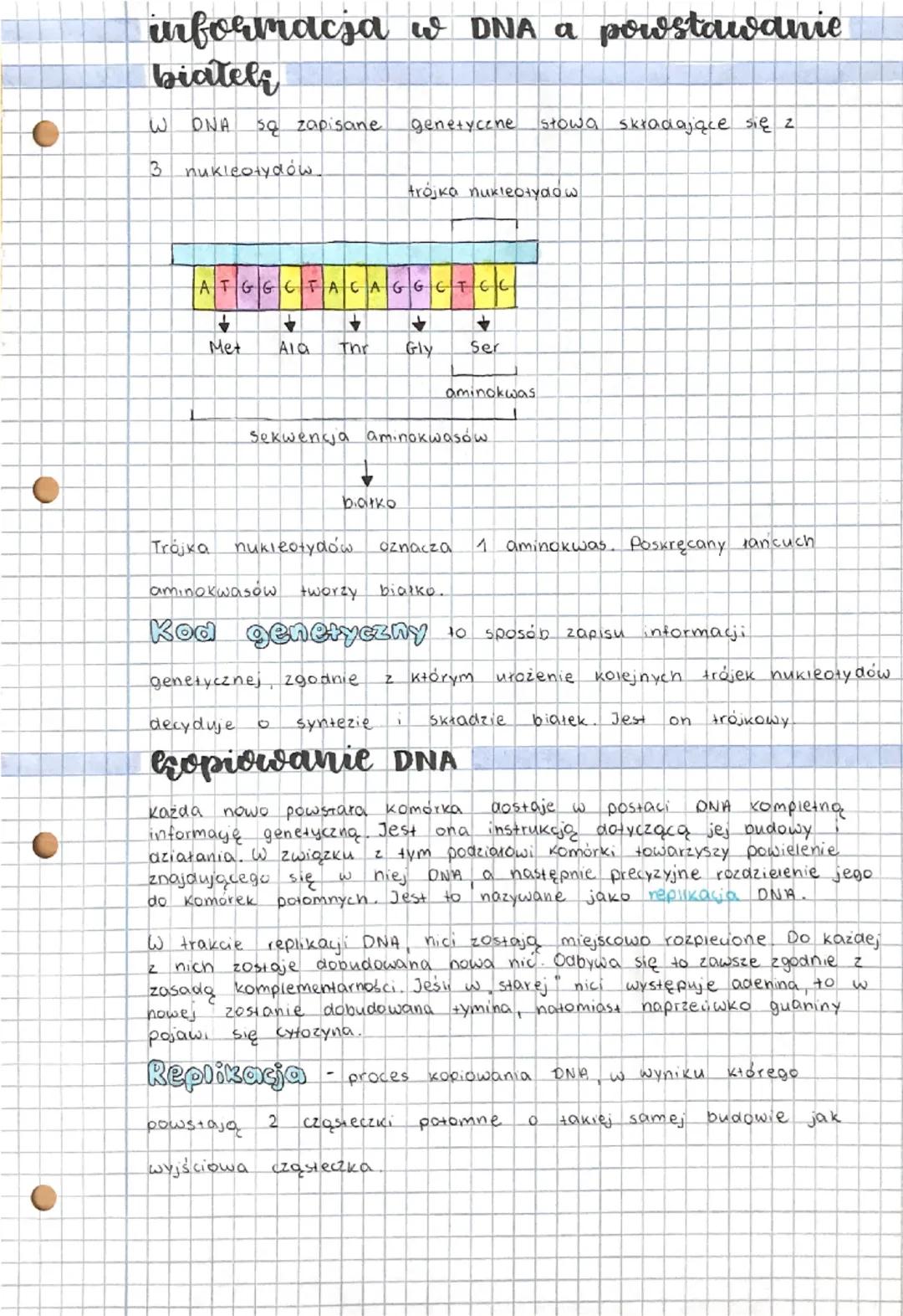 biológia
Struktura DNA
podwójna helisa
Rola
DNA jest ściśle związana
mikroskopu elektronowego DNA
w rzeczywistości
z jego strukturą. Choć na