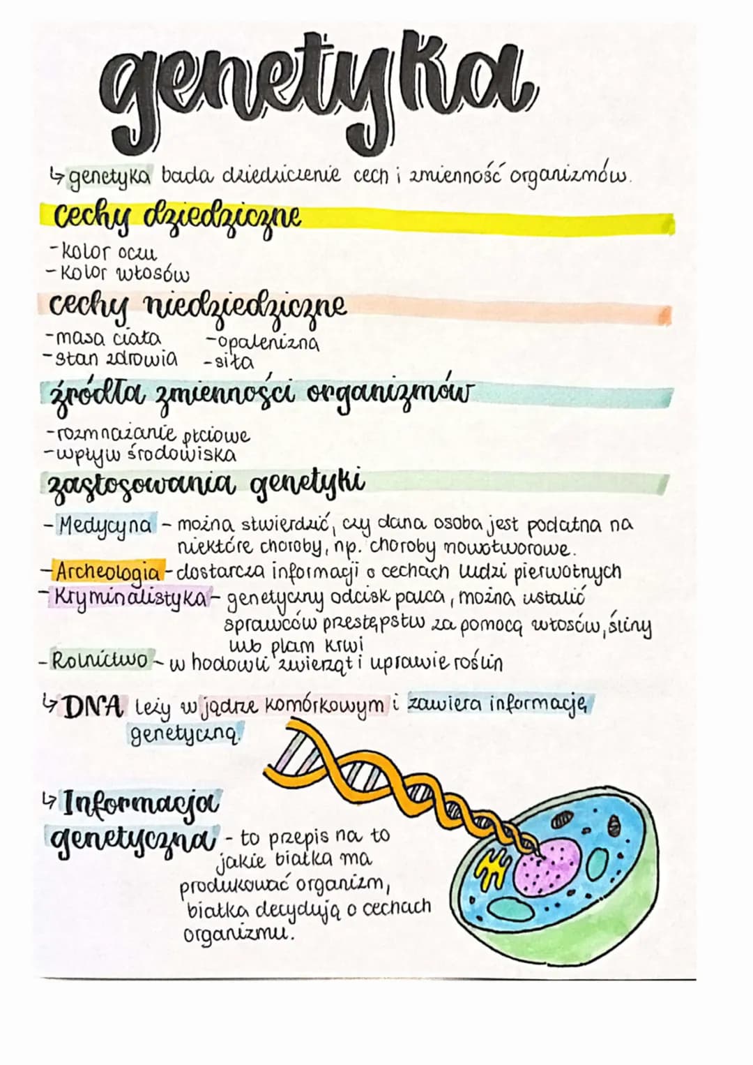 genetyka
↳genetyka bada dziedziczenie cech i zmienność organizmów.
cechy dziedziczne
-kolor oczu
-Kolor włosów
cechy niedziedziczne
-masa ci