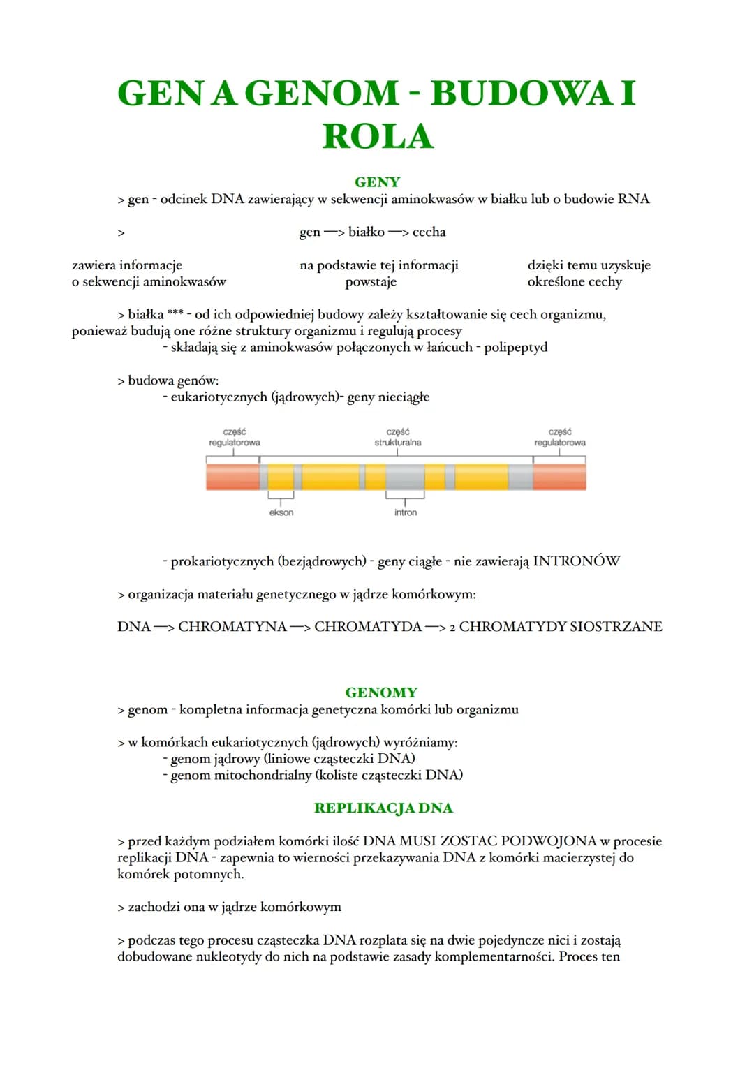 GENA GENOM - BUDOWA I
ROLA
GENY
> gen - odcinek DNA zawierający w sekwencji aminokwasów w białku lub o budowie RNA
gen-> białko -> cecha
>
z