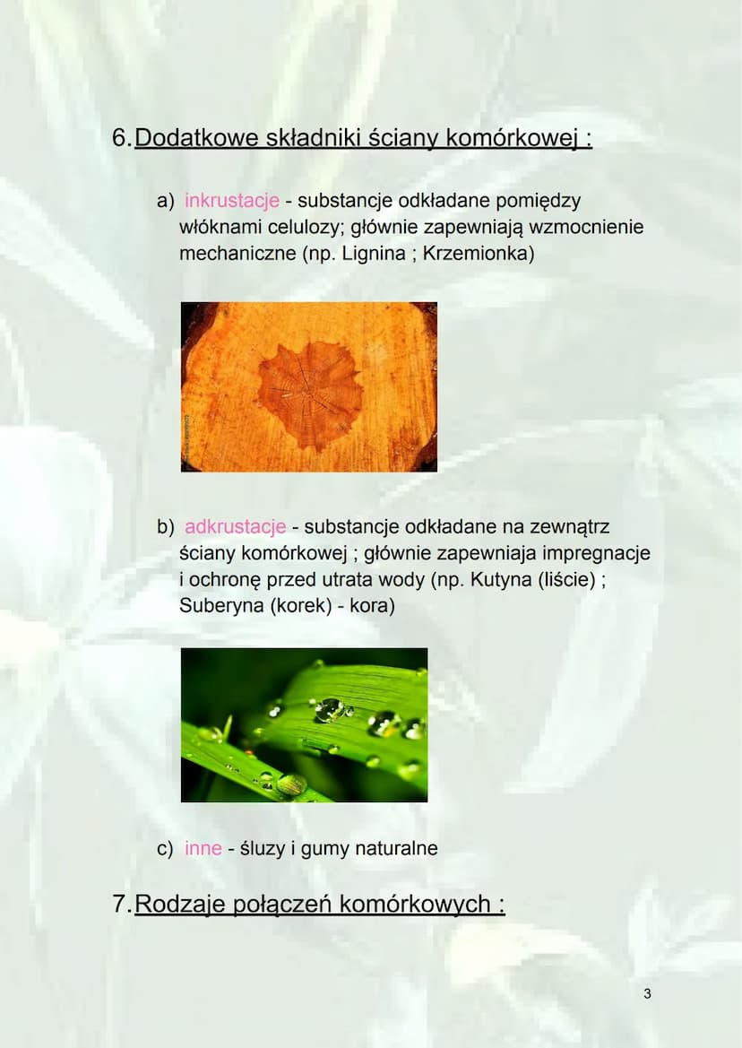 Ściana komórkowa
1. Protoplast - aktywnie metaboliczna część
komórki (bez ściany komórkowej).
2.Skład ścian komórkowych
Bakterie
Mureina
Roś