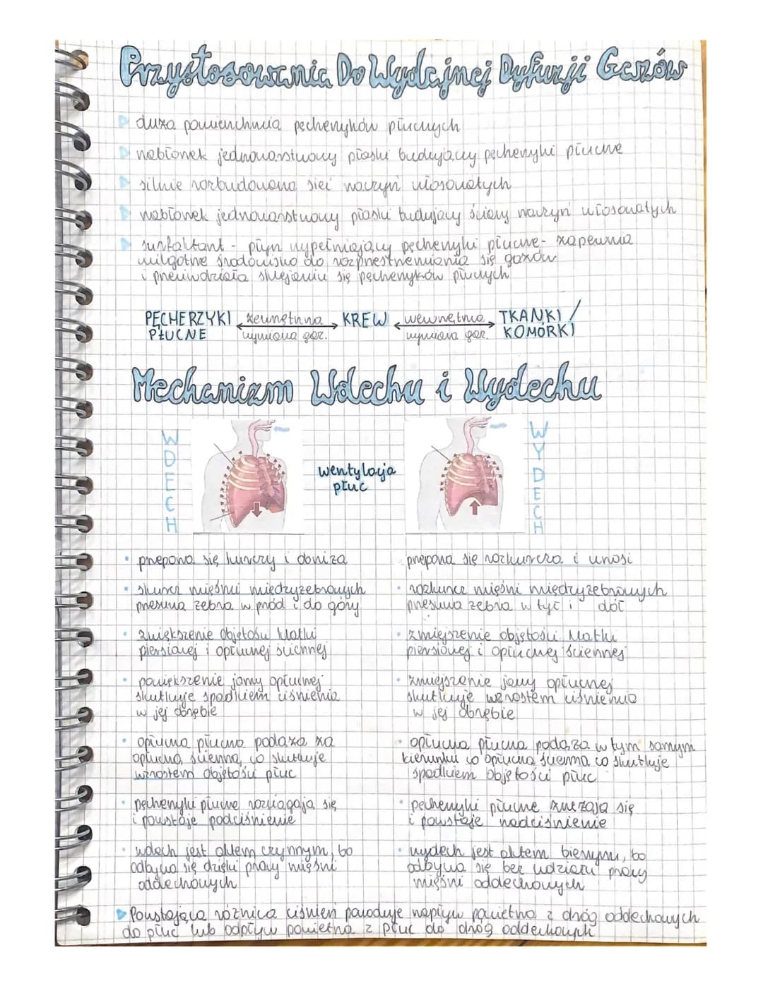 Układ Oddechowy
addychanie to proves metaboliczny
>addychanie Hervove → energia (40% ATP, 60% ciepło)
Jama
oplucnej
prawe
Układ oddechowy cz