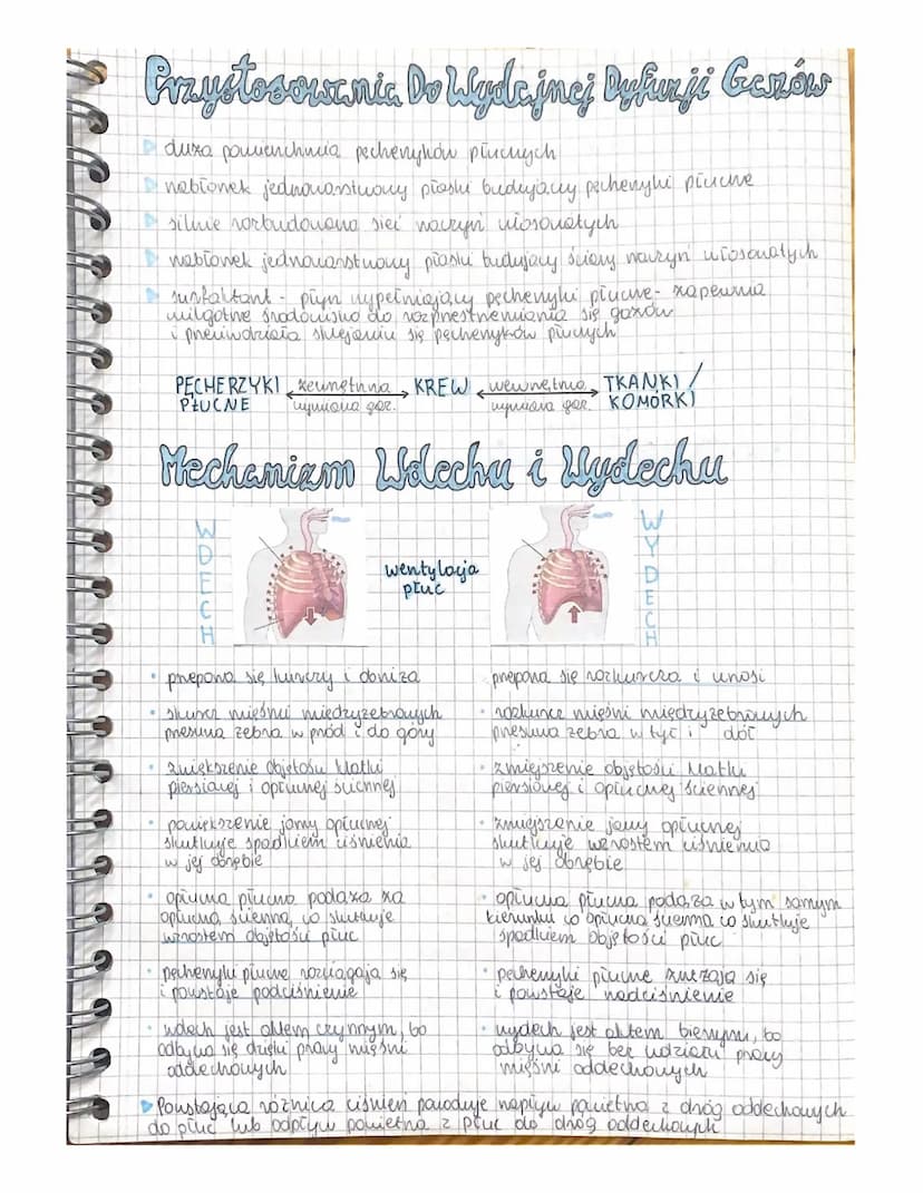 Układ Oddechowy
addychanie to proves metaboliczny
>addychanie Hervove → energia (40% ATP, 60% ciepło)
Jama
oplucnej
prawe
Układ oddechowy cz