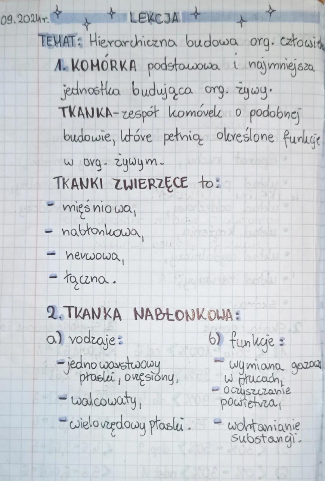 Hierarchiczna budowa organizmu człowieka.
