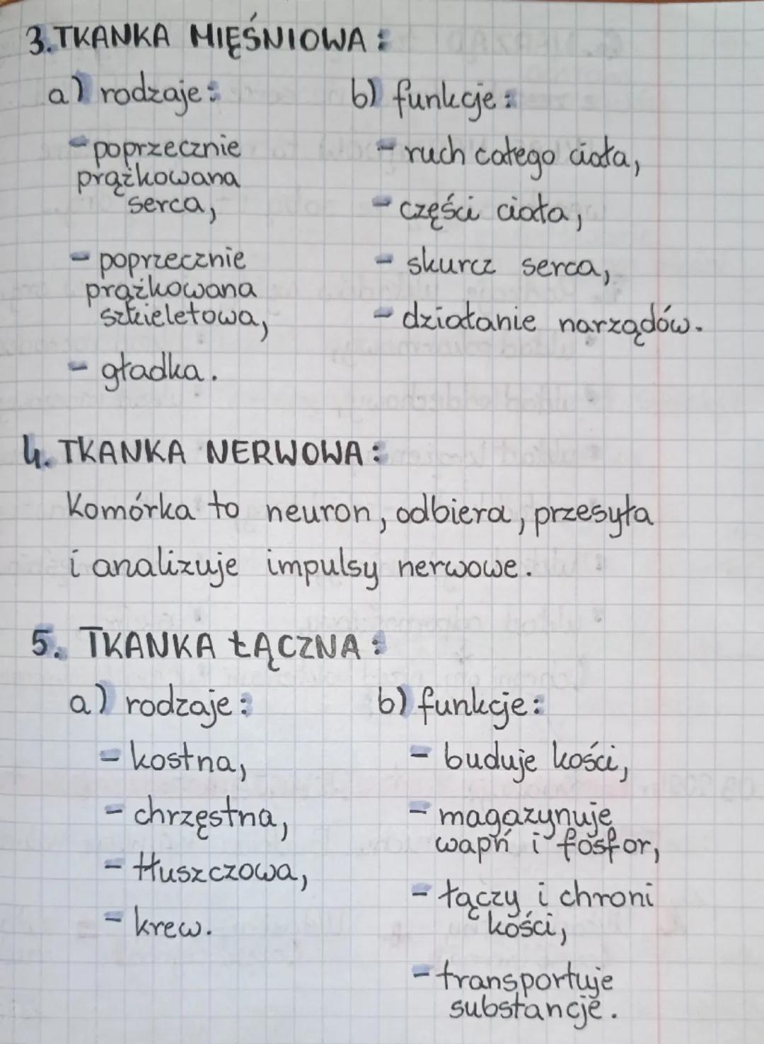 09.2024.
+ LEKCJA +
+
+
TEHAT: Hierarchiczna budowa org. człowie
1. KOMÓRKA podstawowa i najmniejsza
jednostka budująca org. żywy.
TKANKA-ze