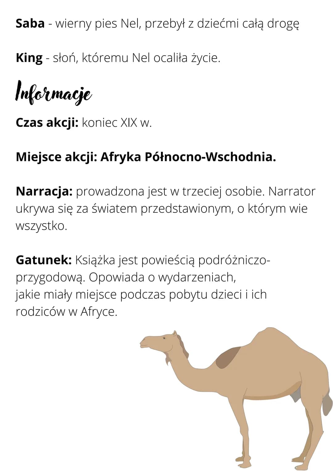 W pustyni iw puszczy
Bohaterowie
Staś Tarkowski - czternastoletni młodzieniec urodzony i
wychowany w Port Saidzie. Jego
ojcem był Polak, a m