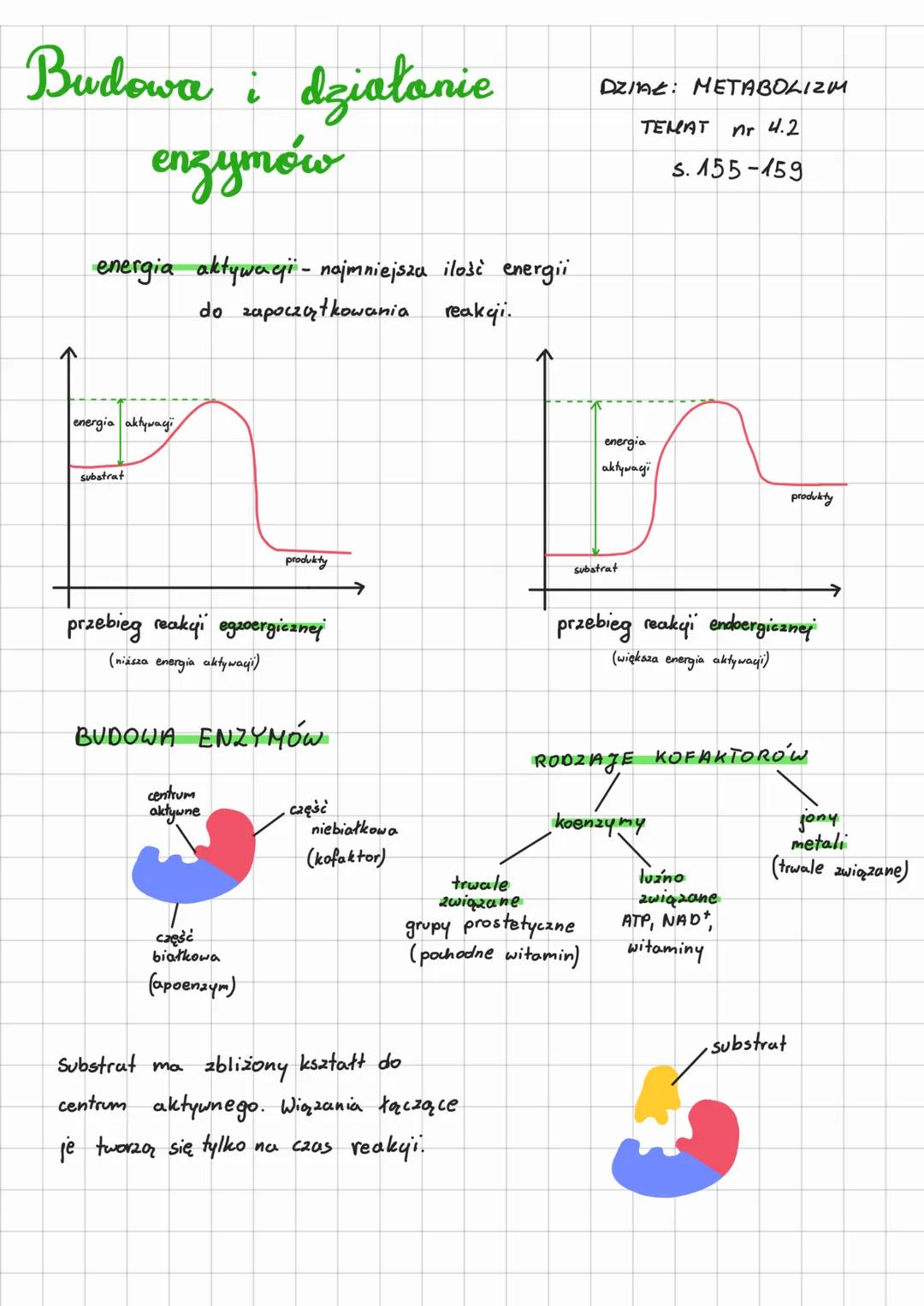 Budowa i działanie
enzymów
energia aktywagi - najmniejsza ilość energii
do zapoczątkowania reakgi.
energia aktywacji
substrat
przebieg reaky