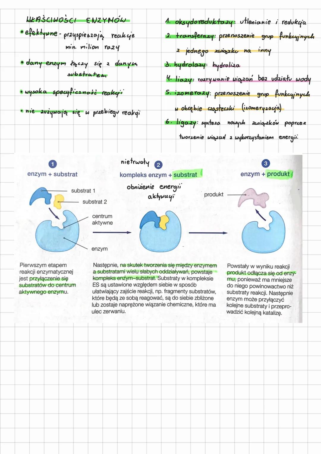 Budowa i działanie
enzymów
energia aktywagi - najmniejsza ilość energii
do zapoczątkowania reakgi.
energia aktywacji
substrat
przebieg reaky