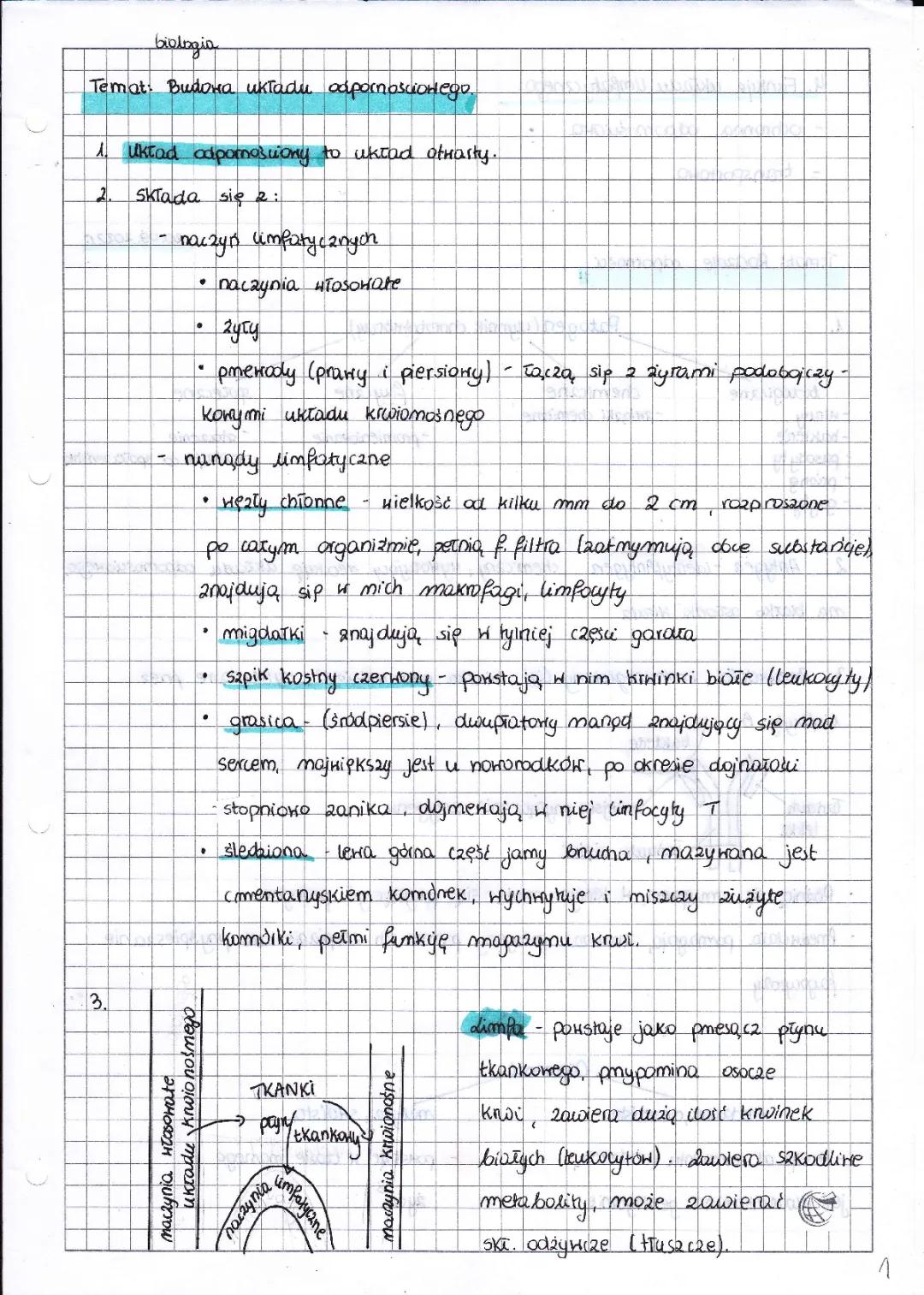 Układ Odpornościowy: Budowa, Funkcje i Zaburzenia