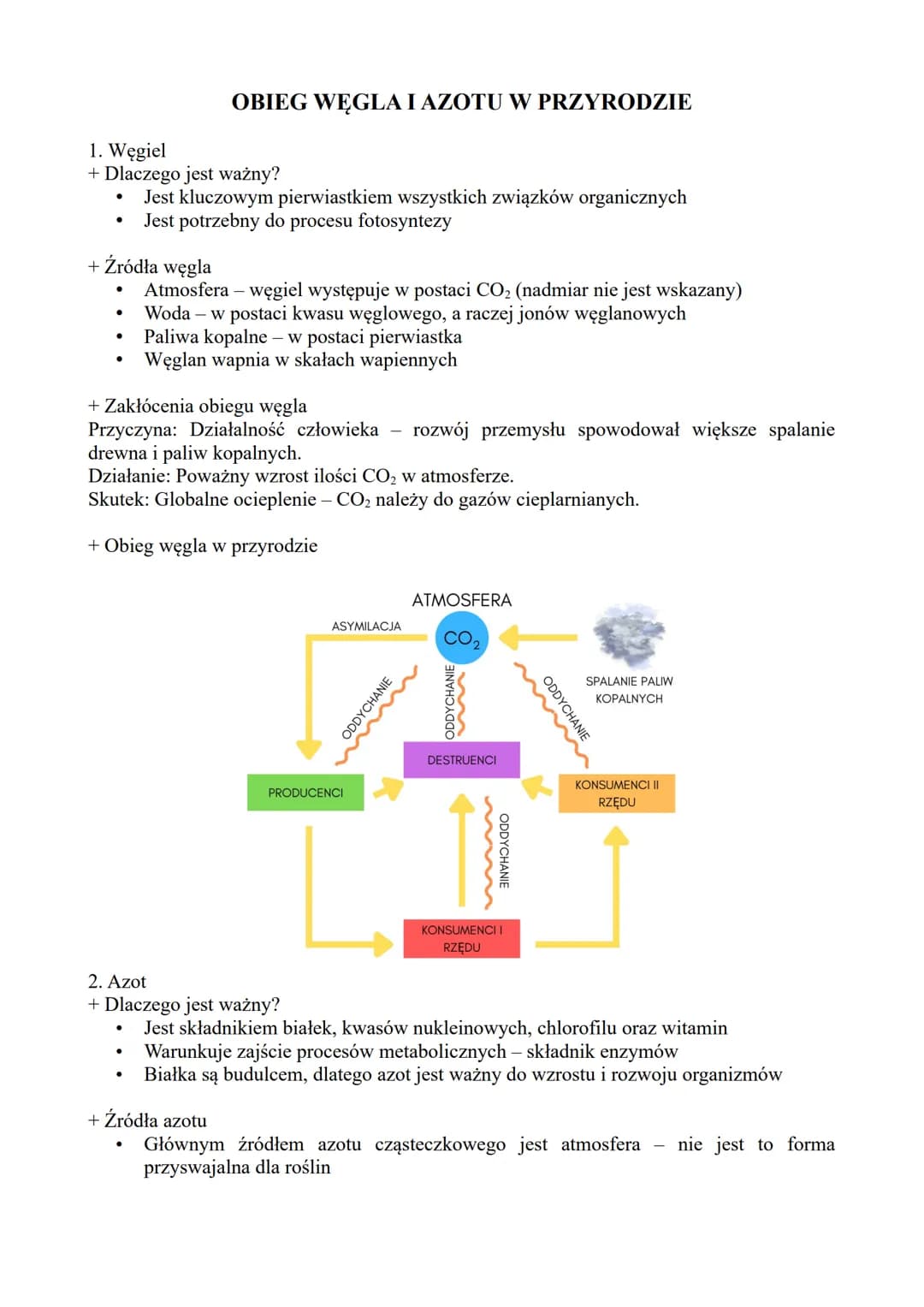 1. Węgiel
+ Dlaczego jest ważny?
●
+ Źródła węgla
Atmosfera - węgiel występuje w postaci CO₂ (nadmiar nie jest wskazany)
Woda - w postaci kw